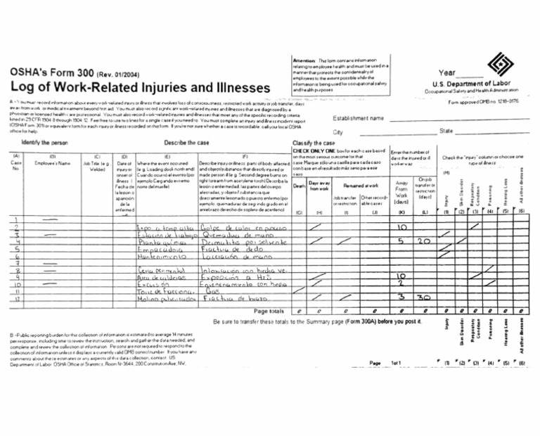 Osha 300 PDF