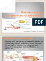 Регулација На Рефлексната Активност