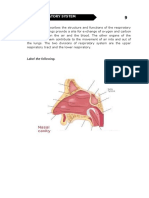 DLaboratory Actiivty 9 - Respiratory System