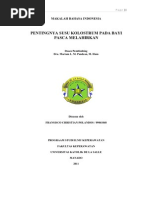 Download Pentingnya Susu Kolostrum Pada Bayi Pasca Melahirkan by Fransisco Polandos SN59494036 doc pdf