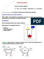 Ácidos Nucleicos