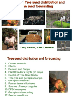 M3S4 Tree Seed Distribution