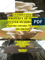 Antimycotic Property of Pearl Oyster Mushrooms Pleurotus Ostreatus Tested On Swine 2