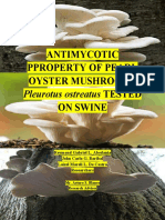 Antimycotic Properties of Pearl Oyster Mushrooms Tested on Swine