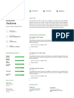 04 Professional CV Resume