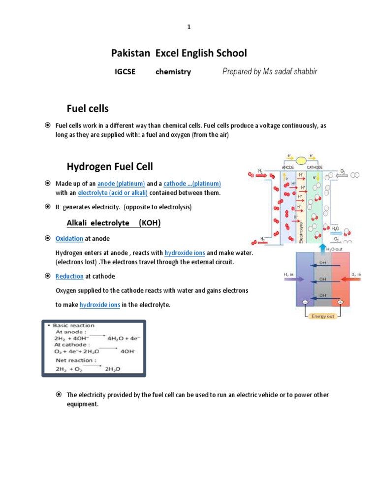 Fuel Cells PDF Fuel Cell Hydrogen
