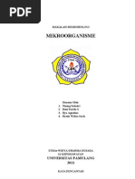 Download Mikro biologi Kelompok by Qhamra Herschell Zephyr Sianturi SN59496775 doc pdf
