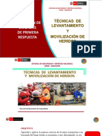 Técnica de Levantamiento - Peru 2021