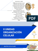 Oración de la tarde: Un llamado a la paz y la comprensión