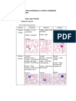 EVALUASI Sediaan Apus Darah (Ellen Dian Permata Soffa Eridine 2004015045)