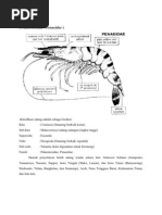 Download UDANG WINDU by DiewaNatha KromoPawiro SN59497884 doc pdf