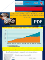 I Curso de Produccion de La Trucha Acoria 2020