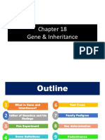 Genes Inheritance