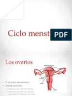 Rc-Ud06 Ciclo Menstrual