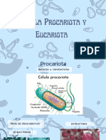 Diferencias entre células procariotas y eucariotas