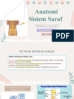Anatomi Sistem Saraf Ami 2