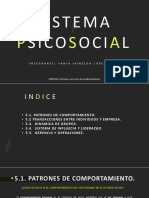 SISTEMA PSICOSOCIAL y OPERATIVO