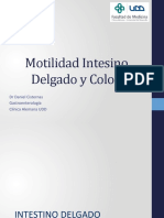 Motilidad ID y Colon-UDD Fisiologia 2do-SEPT 2022