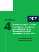 Caracterización de Servicios Ecosistémicos de La Guadua La Cuenca Baja Del Río Guarapas en Pitalito, Huila