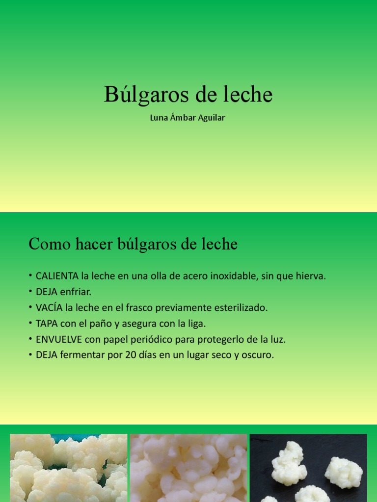 Cómo hacer búlgaros de leche desde cero | PDF