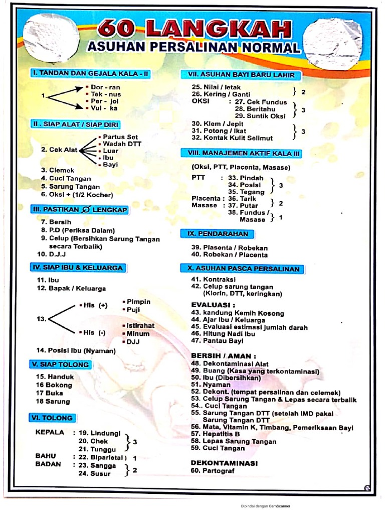 60 LANGKAH APN PDF