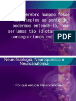 Neurofisiologia Neuroquímica e Neuroanatomia