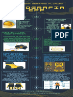 Amarillo Verde y Azul Futurista Proceso de Organización Cronograma Infografía 2