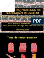 Aula 1-Revisão Proc Contr Musc