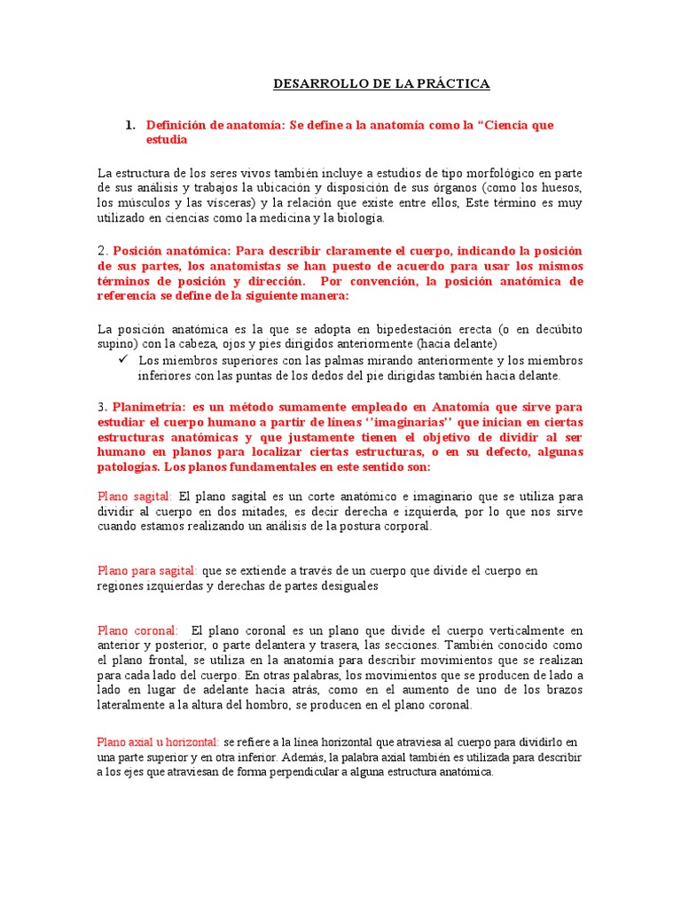 Desarrollo de la placenta y las membranas fetales, image size:768x1024