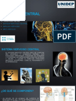 Sistema Nervioso Central (Impulso, Arco Reflejo)