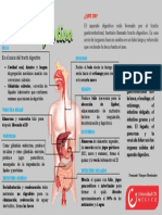 Infografia