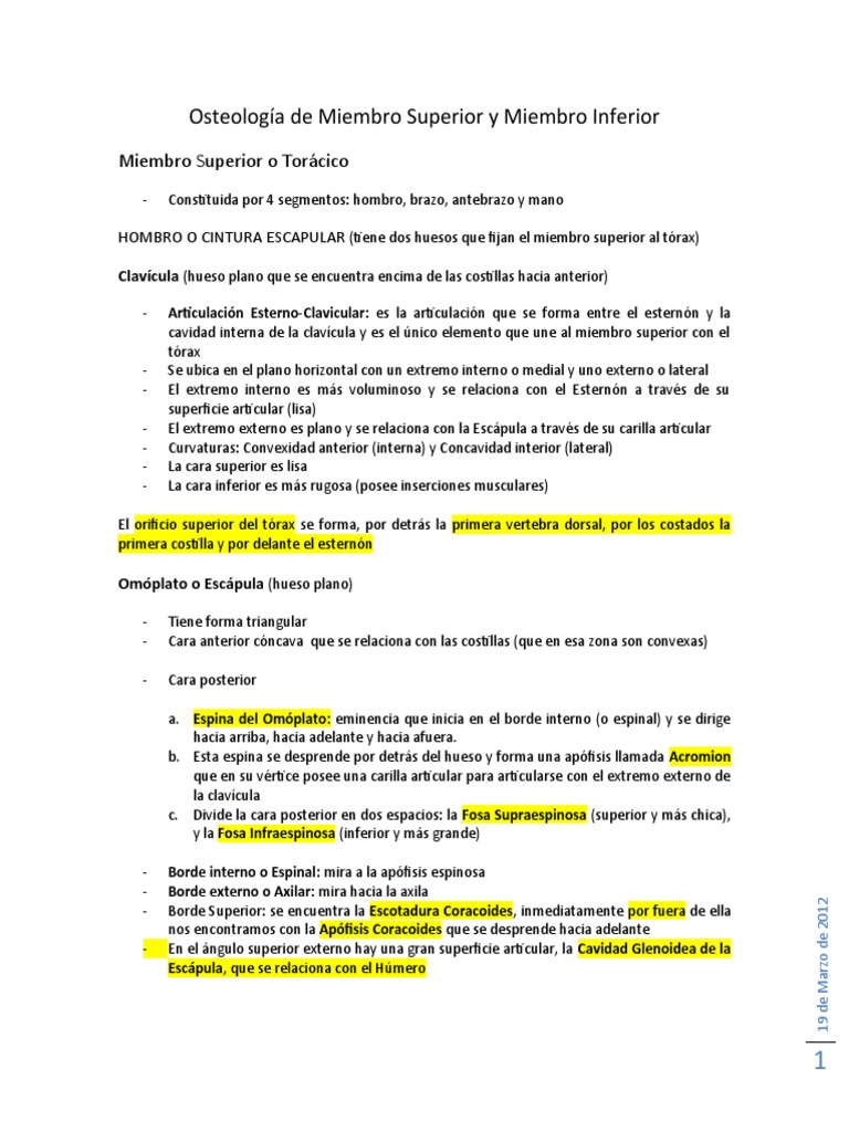 Osteología De Miembro Superior Y Miembro Inferior Pdf Anatomía