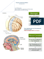 TCE Torax Abdomen