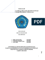 Jurnal Sds Page KLMPK 3