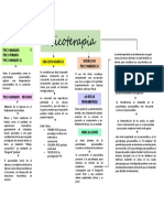 Psicoterapia - Mapa Conceptual