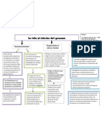 La Vida Al Interior Del Genoma