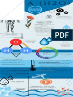 T-3. Infografia Del Agua Martinez Cruz Andrew 1° J.