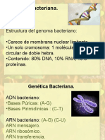 Nro 6 B. Genetica Bacteriana