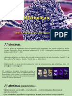 Aflatoxinas: Características y efectos
