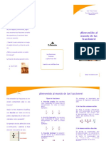 Vdocuments - MX - Triptico Las Fracciones