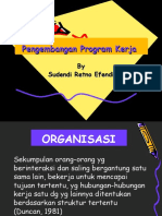 Pengembangan Proker Organisasi