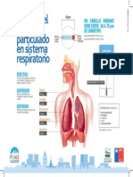 Info Efectos MP Sistema Respiratorio 1