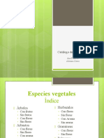 CATALOGO DE VEGETACIÓN-paisajismo