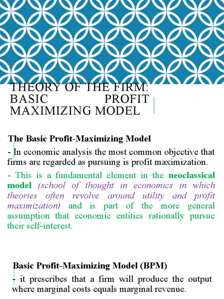 Profit Maximization Model Assumptions | PDF | Profit (Economics) | Risk