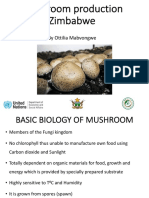 Mushroom Production Juncao Ottilia Final - AGRITEX