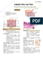 The Integumentary System: Protection, Sensation, Temperature Regulation