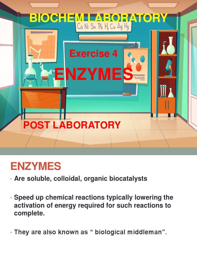 Post Lab Exercise 4 Enzymes PDF Enzyme Starch