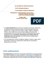 Ciclos biogeoquímicos y su importancia en el medio ambiente