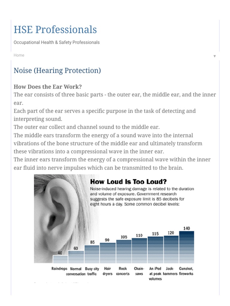 HSE Professionals Noise (Hearing Protection) PDF Noise Ear