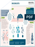 Adult Chronic Rhinosinusitis. (2020) - Nature Reviews Disease Primers